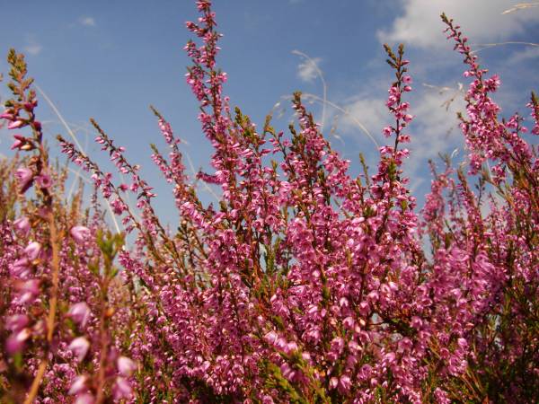 EKOTURYSTYKA NAD SZMARAGDOWĄ ZATOKĄ