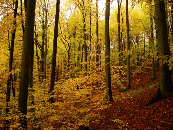 EKOTURYSTYKA NAD SZMARAGDOWĄ ZATOKĄ