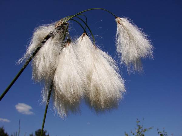 EKOTURYSTYKA NAD SZMARAGDOWĄ ZATOKĄ