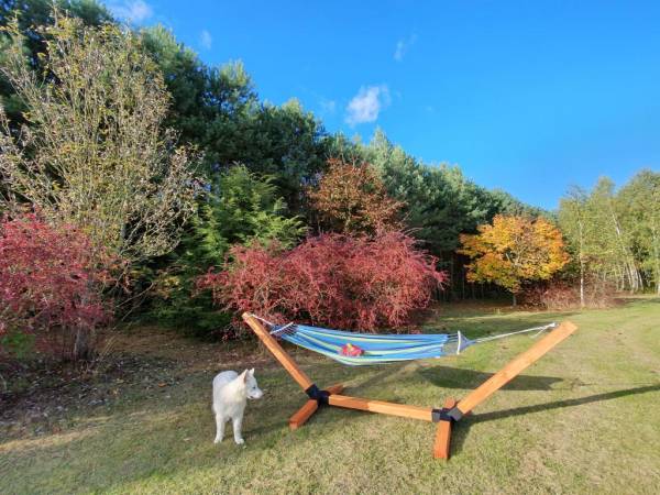 EKOTURYSTYKA NAD SZMARAGDOWĄ ZATOKĄ