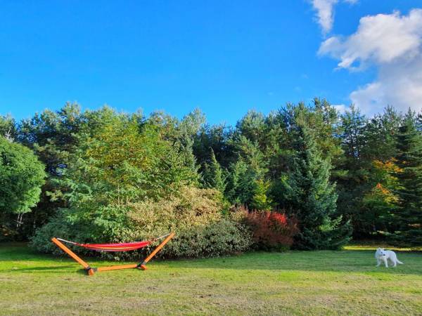 EKOTURYSTYKA NAD SZMARAGDOWĄ ZATOKĄ