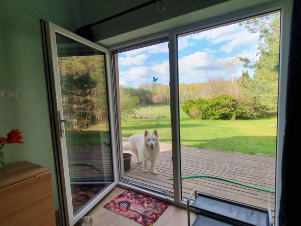 EKOTURYSTYKA NAD SZMARAGDOWĄ ZATOKĄ