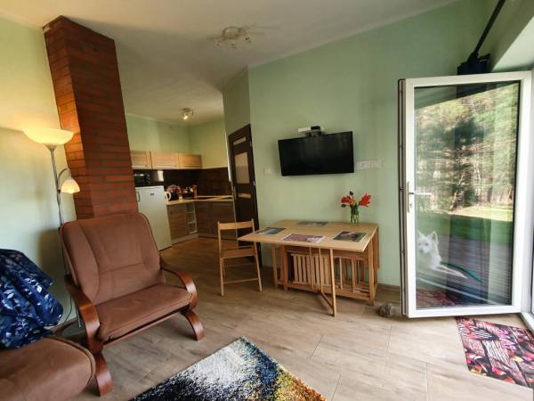 EKOTURYSTYKA NAD SZMARAGDOWĄ ZATOKĄ