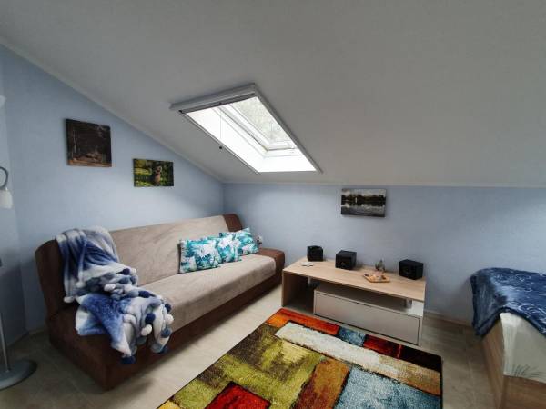 EKOTURYSTYKA NAD SZMARAGDOWĄ ZATOKĄ