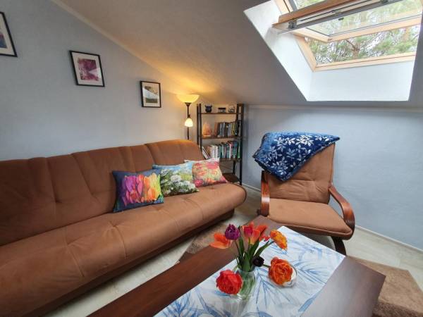 EKOTURYSTYKA NAD SZMARAGDOWĄ ZATOKĄ