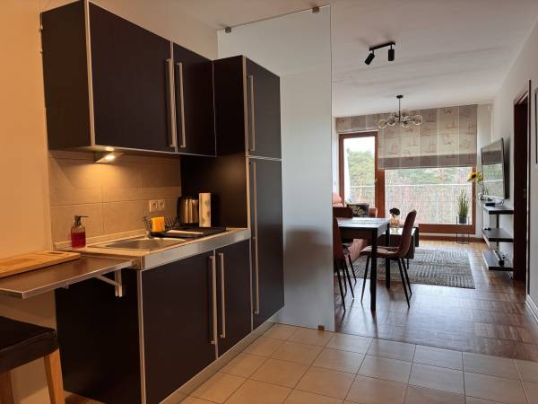 Apartament przy lesie