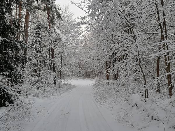 Miodowy Domek na Mazurach