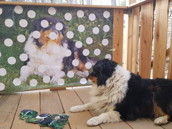 Agroturystyka-Zagroda Studzienno