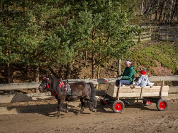 Agroturystyka-Zagroda Studzienno