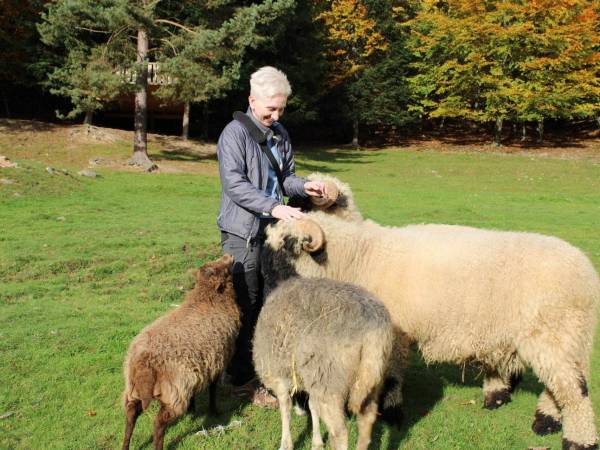 Agroturystyka-Zagroda Studzienno