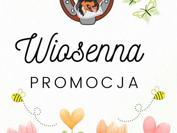 Agroturystyka-Zagroda Studzienno