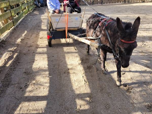 Agroturystyka-Zagroda Studzienno