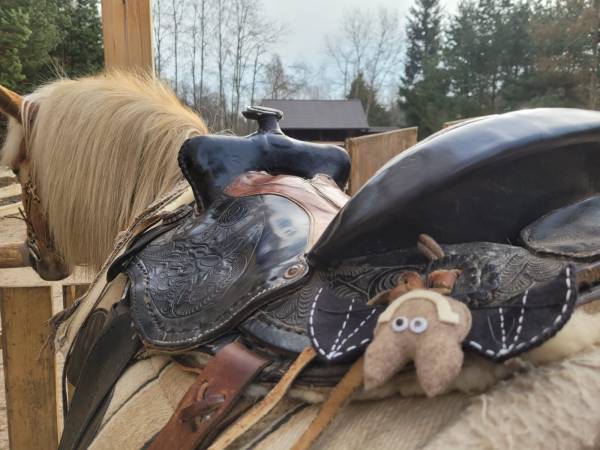 Agroturystyka-Zagroda Studzienno