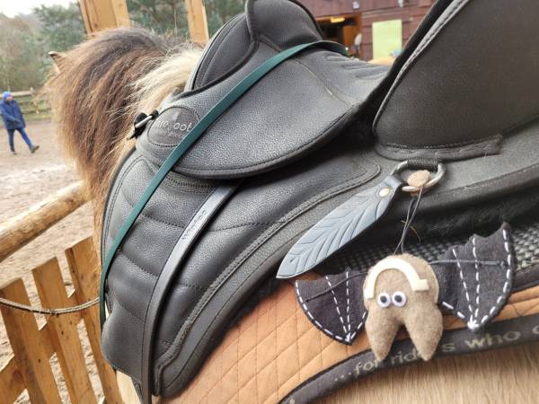 Agroturystyka-Zagroda Studzienno