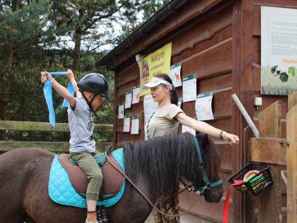 Agroturystyka-Zagroda Studzienno