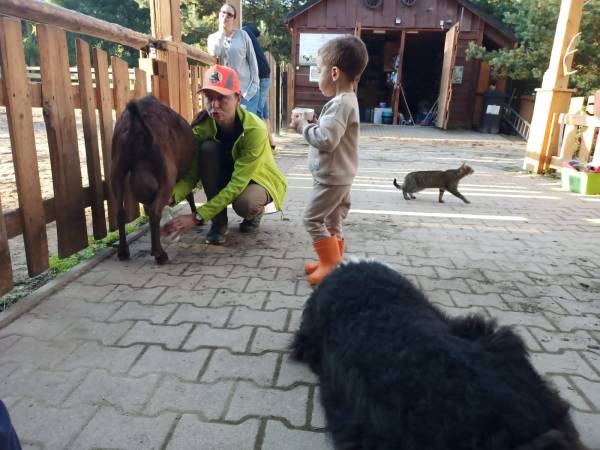 Agroturystyka-Zagroda Studzienno