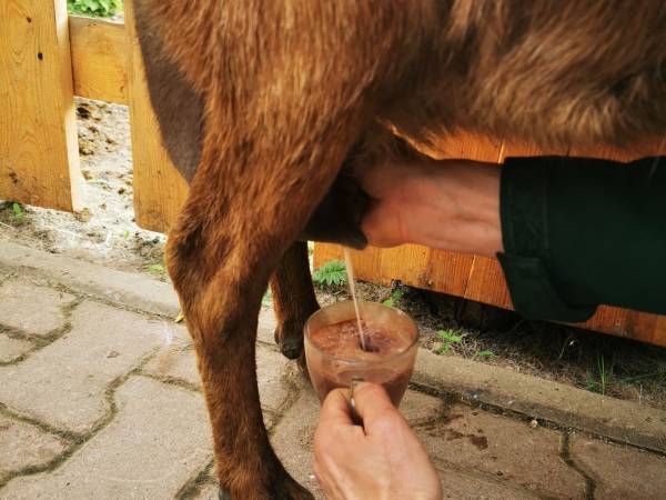 Agroturystyka-Zagroda Studzienno