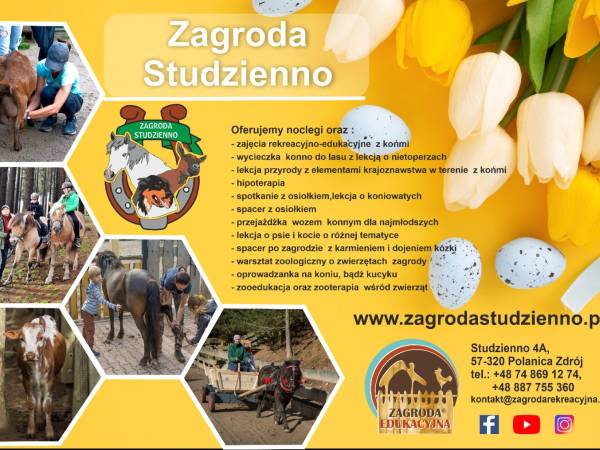 Agroturystyka-Zagroda Studzienno