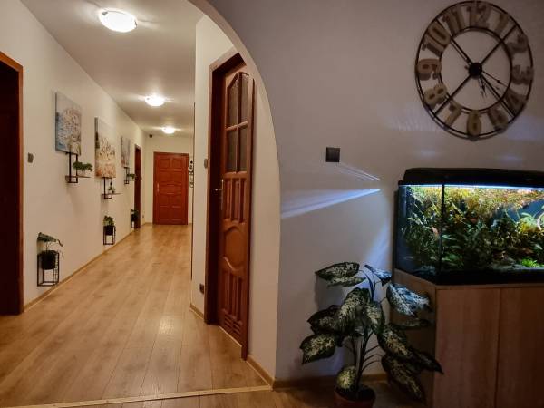 Noclegi Na Łącznej