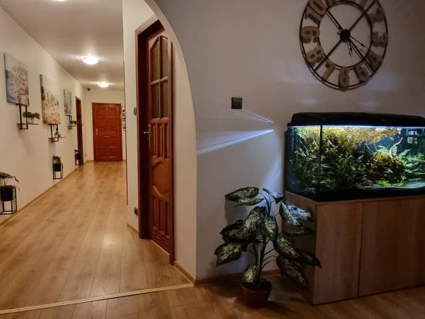 Noclegi Na Łącznej