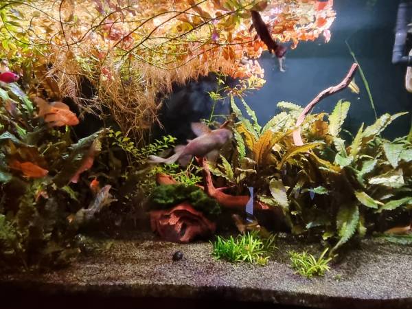 Noclegi Na Łącznej