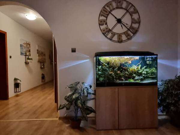 Noclegi Na Łącznej