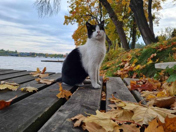 Agroturystyka Nad Jeziorem