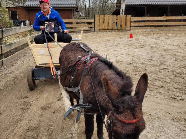 Zajęcia rekreacyjno - edukacyjne z elementami terapii
