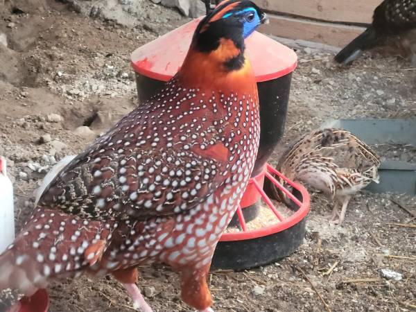 Zajęcia rekreacyjno - edukacyjne z elementami terapii