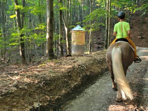 Zajęcia rekreacyjno - edukacyjne z elementami terapii