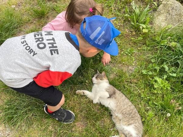 Zajęcia rekreacyjno - edukacyjne z elementami terapii