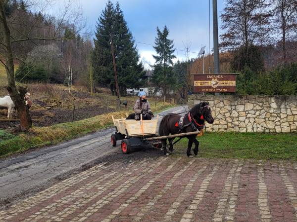 Zajęcia rekreacyjno - edukacyjne z elementami terapii