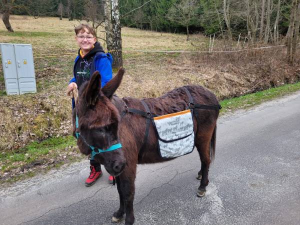Zajęcia rekreacyjno - edukacyjne z elementami terapii