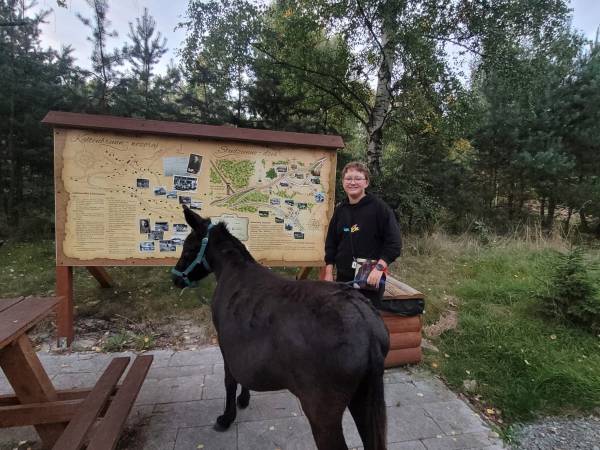 Zajęcia rekreacyjno - edukacyjne z elementami terapii