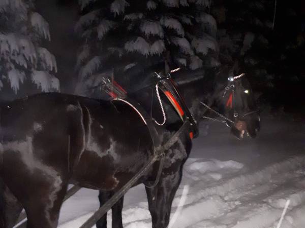 Willa Anna nad Porońcem