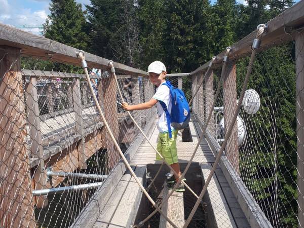 Spacer w koronach drzew