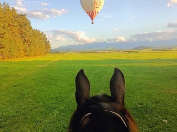 Jazda konna w terenie