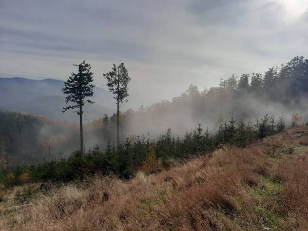 niesamowite widoki tuż obok domku