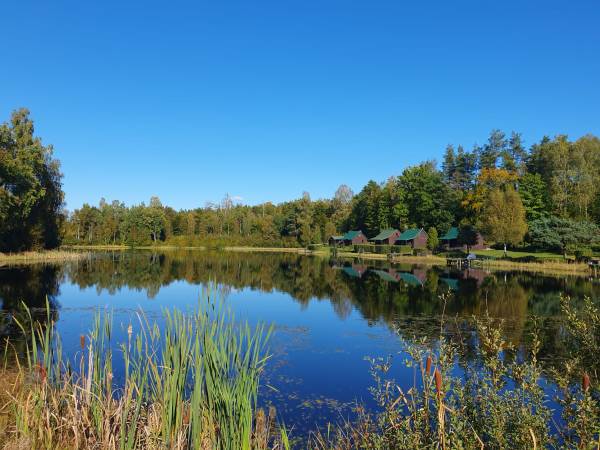 Domki nad stawem 