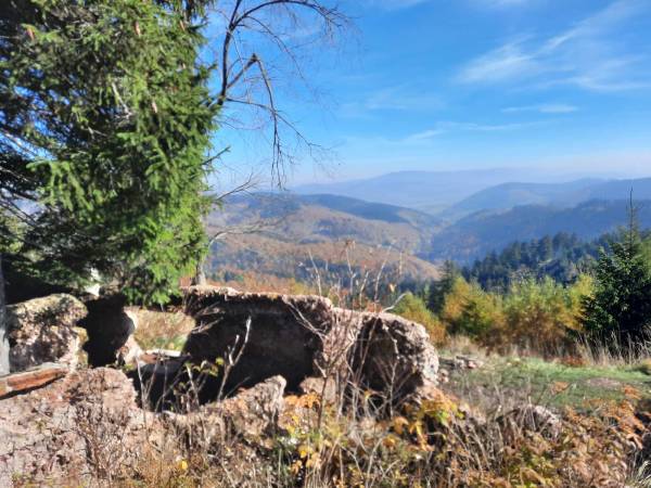 Pałacyk Mysliwski Hochbergów