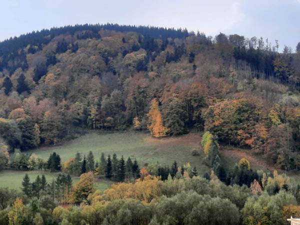 widok na Ostoję złota jesień z domku
