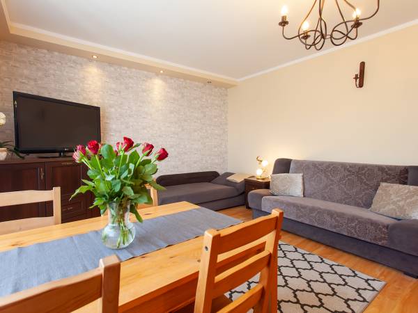 Salon Apartamentu 2 pokojowego