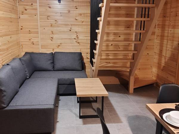 Salon z kuchnią i jadalnią na parterze