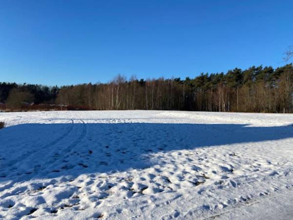 Seestern - Gwiazda Morza Apartment Baltic Cliff Niechorze