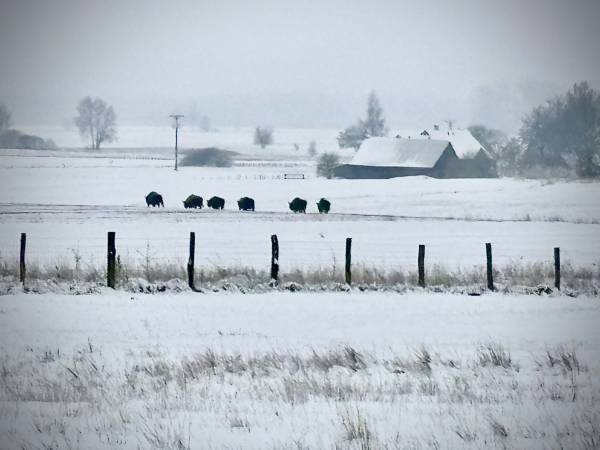Wiejskie podwórze Ekologiczne gospodarstwo agroturystyczne