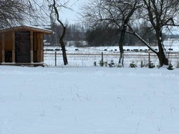 Wiejskie podwórze Ekologiczne gospodarstwo agroturystyczne