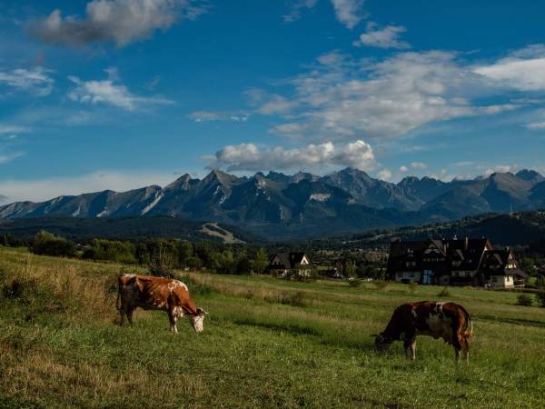 Pokoje Gościnne Stanek 