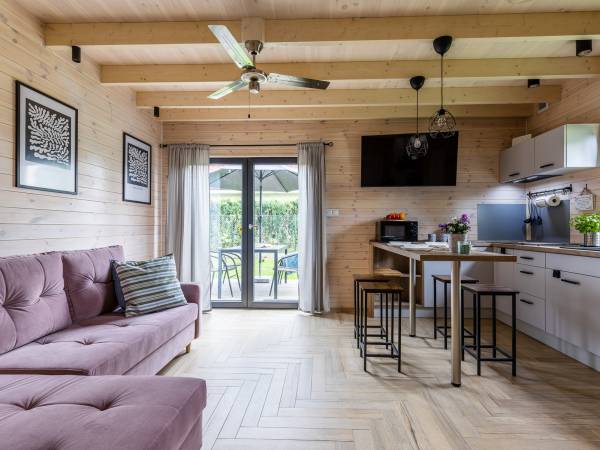 salon z aneksem kuchennym