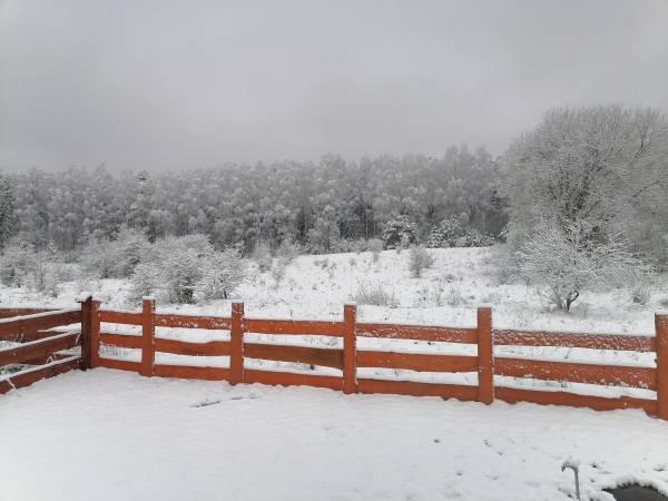 Miodowy Domek na Mazurach