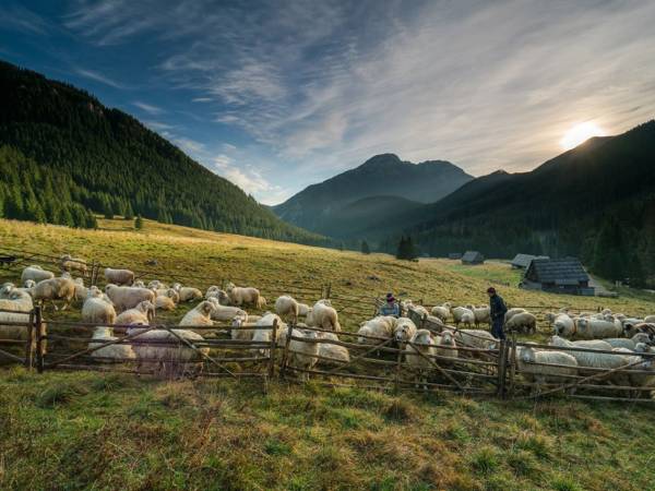 Apartamenty Widokowe Cztery Pory Roku